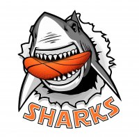 logo Sharks Design Dental Clinic